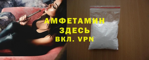 молекула духа Арсеньев
